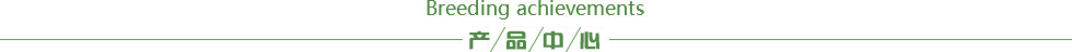 產(chǎn)品中心