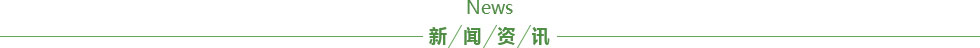 新聞資訊